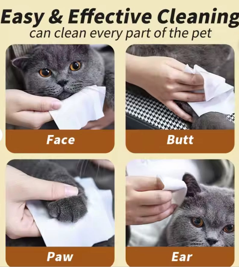 "P.P" Wipes Plain Pet Wipes 80 Pack