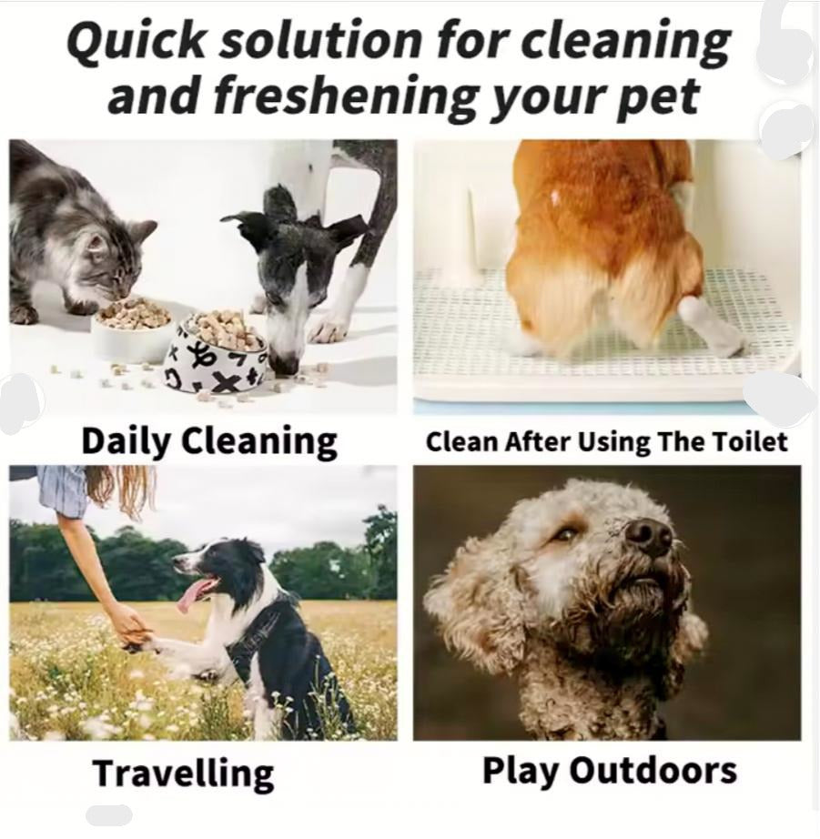 "P.P" Wipes Plain Pet Wipes 80 Pack